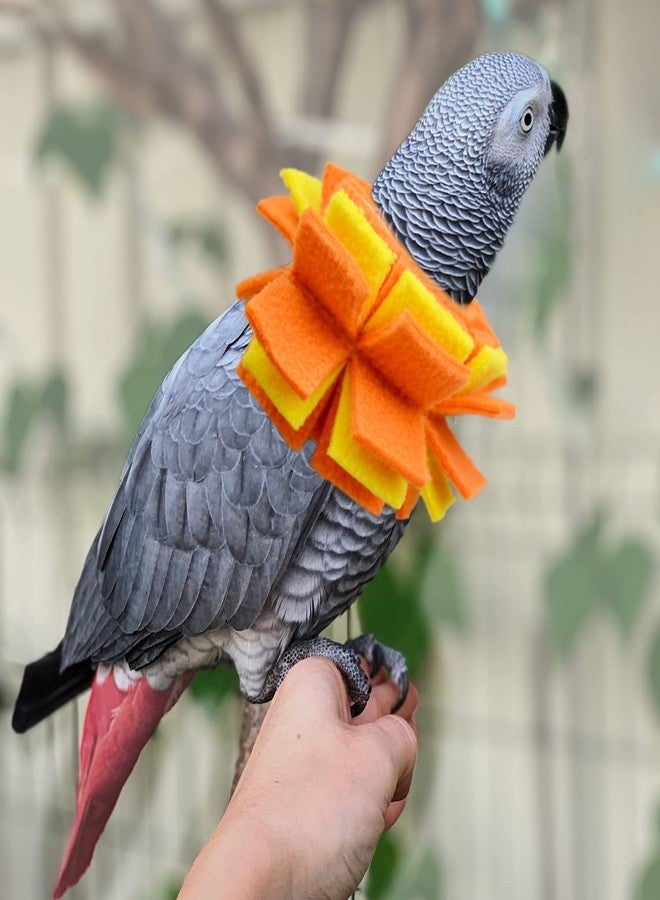 vomvomp Neck Collar for African Grey Parrots Feather Plucking Bird Anti Bite Collar Neck Shield - Image 4